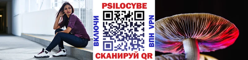 Купить где  Серпухов  Псилоцибиновые грибы MAGIC MUSHROOMS 